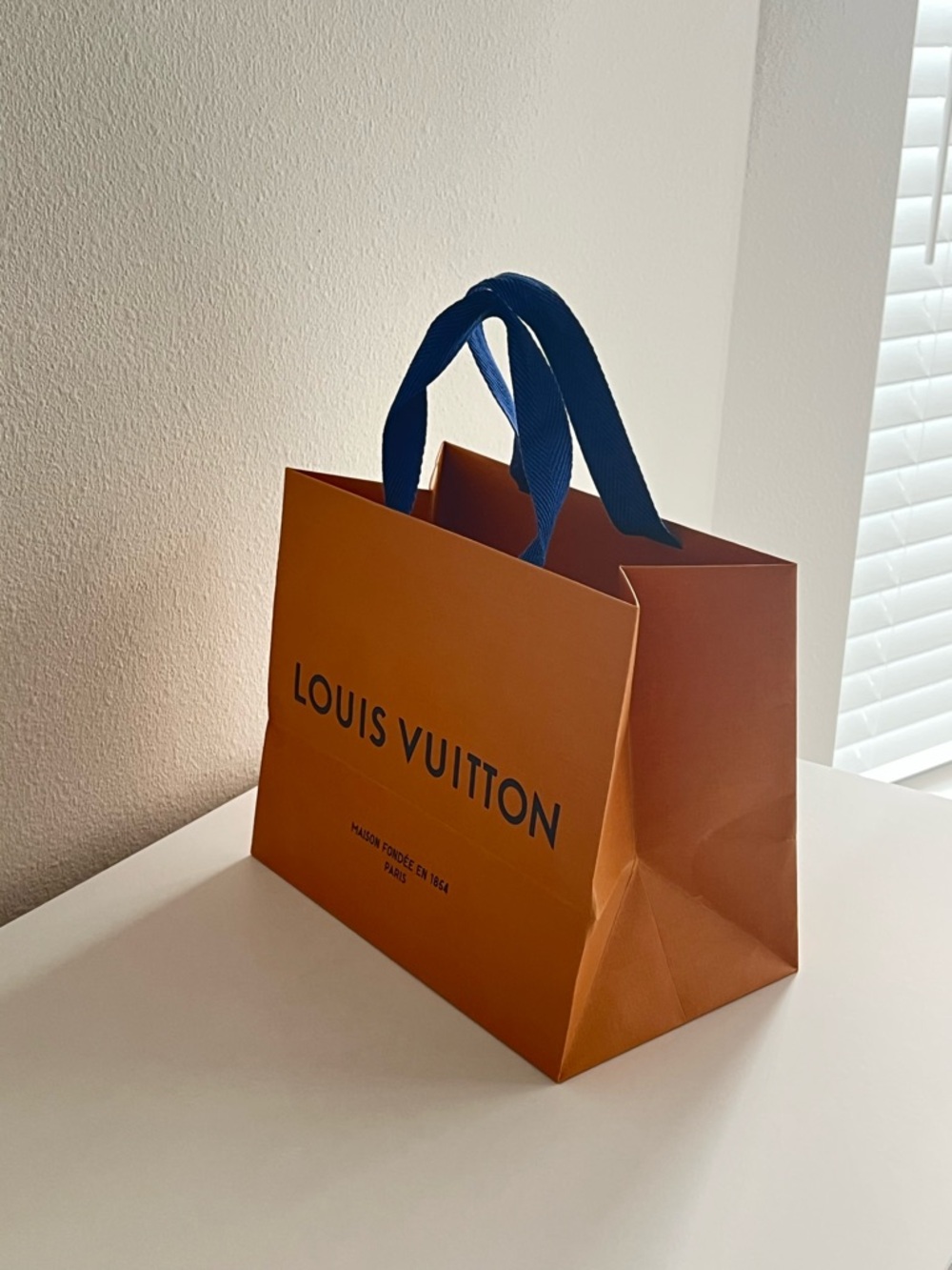 Louis Vuitton Decorative Shopping Bag